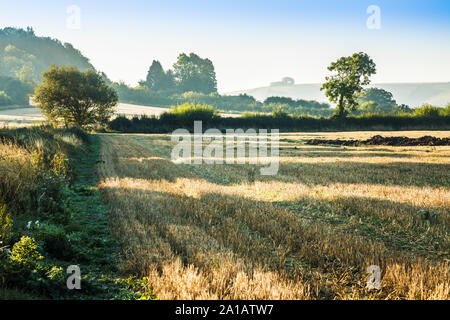 La vista verso Liddington collina vicino a Swindon, Wiltshire su un inizio autunno mattina. Foto Stock