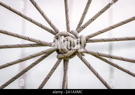Molte corde e un unico grande nodo closeup Foto Stock