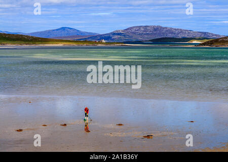 Persona la raccolta di cardidi con un rastrello su Increspatura Strand spiaggia,Isle of Barra, Western Isles, Ebridi Esterne, Scozia, UK UE Foto Stock