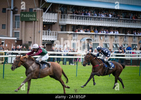 Warwick Racecourse, Warwick Regno Unito Foto Stock