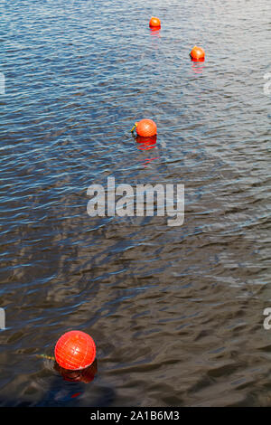 Quattro arancio brillante Boe galleggiante sul fiume della superficie dell'acqua. Set di quattro arancione boe di sicurezza che si protende nella distanza in un fiume con piccole onde su Foto Stock