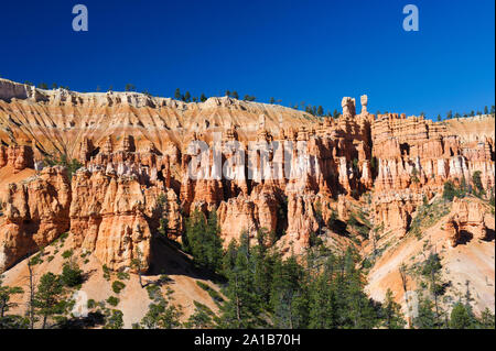 Incantevole paesaggio in una bella giornata di sole, parco nazionale di Bryce Canyon, Utah, Stati Uniti d'America. Foto Stock