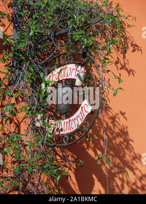 Montopoli in Val d'Arno, Toscana, Toscana, Italx, Europa Foto Stock