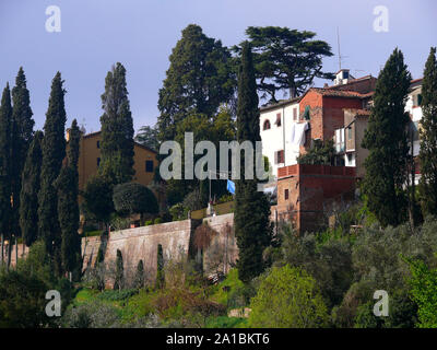 Montopoli in Val d'Arno, Toscana, Toscana, Italx, Europa Foto Stock
