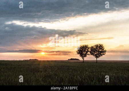 Tramonto colorato con formazione di nube su un campo con 2 alberi di sorprendente, ampio angolo di visualizzazione per piccoli gruppi di alberi - Location: Sassonia, Germania Foto Stock