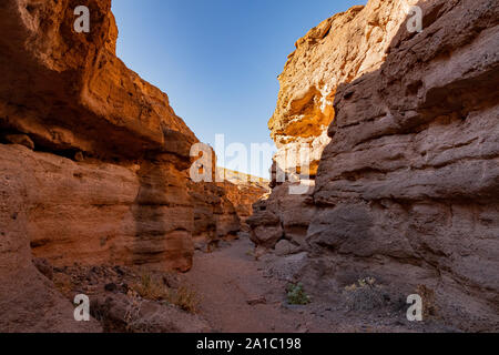 Escursionismo nel White Owl Canyon Lake Mead National Recreation Area a Nevada Foto Stock