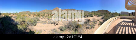 Deserto Sonoran in SW Arizona vicino a Tucson Foto Stock