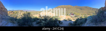 Deserto Sonoran in SW Arizona vicino a Tucson Foto Stock