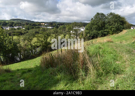 Afon Teifi valley, Newcastle Emlyn, Wales, Regno Unito Foto Stock