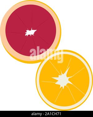 Di arancia e di pompelmo, illustrazione vettore su sfondo bianco. Illustrazione Vettoriale