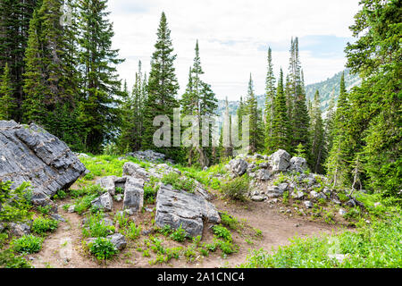 Albion bacino, Utah estate con vista del paesaggio di rocce e pini in montagne Wasatch al Lago Cecret Foto Stock