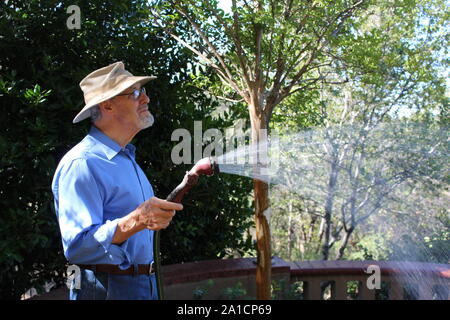 Irrigazione delle piante, senior uomo che indossa un cappello nel suo giardino nella luce del mattino Foto Stock