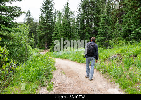 Albion bacino, Utah estate trail nel 2019 stagione in montagne Wasatch con uomo a camminare con zaino sulla strada sterrata Foto Stock