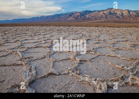 Modelli di poligono, bacino Badwater, Parco Nazionale della Valle della Morte, California Foto Stock