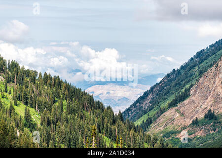 Albion bacino, Utah estate con pioppi neri americani Canyon valley view da Alta e nuvole Foto Stock