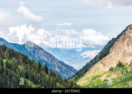 Albion bacino, Utah estate ad alto angolo di visione dei pioppi neri americani Canyon valley da Alta e nuvole Foto Stock