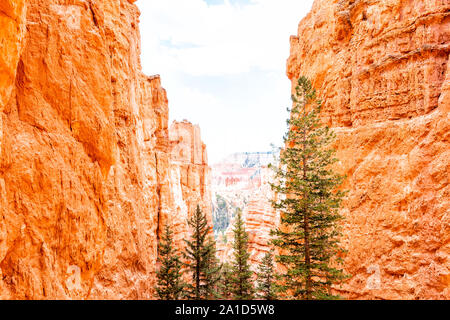 Vista tra orange formazioni rocciose a Bryce Canyon National Park nello Utah Queens Garden Navajo Loop ripido sentiero con alberi Foto Stock