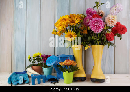 Utensili da giardinaggio e fiori su legno colorato sfondo vintage Foto Stock