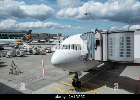 Condor Boeing 767-300 con ponte passeggeri, l'aeroporto di Frankfurt am Main, Hesse, Germania Foto Stock