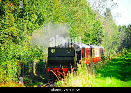 Ribble Steam Railway treno in viaggio nella zona boschiva in un giorno di estate Foto Stock