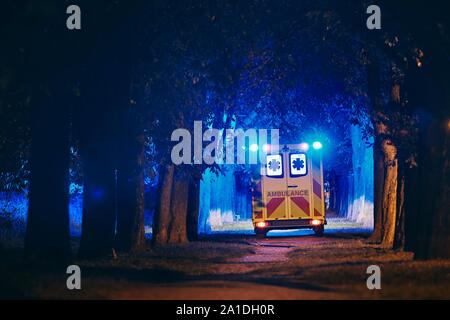 Salvataggio nel vicolo buio. Vista posteriore di ambulanza del servizio di emergenza medica contro gli alberi illuminati dal blu del lampeggiatore. Foto Stock