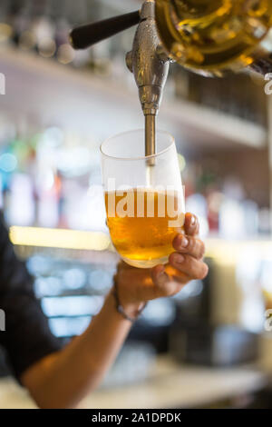 Barman mano alla birra tocca versare la birra lager di servire in un ristorante o pub Foto Stock