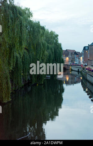 Salici piangenti appesa sopra il lieve canal a Gand, Fiandre Orientali, Belgio. Foto Stock