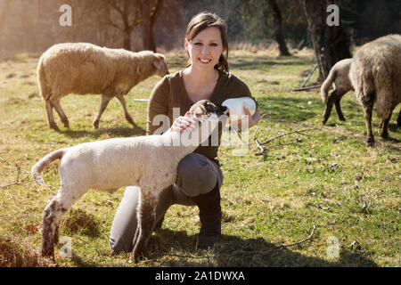 La donna è la alimentazione di un agnello con bottiglia di latte, il concetto di benessere animale e di allevamento Foto Stock