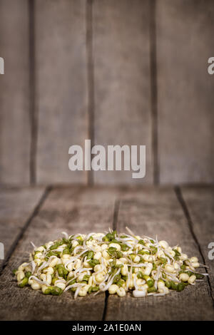 Mung bean i germogli di fronte un rustico in legno con sfondo copyspace Foto Stock