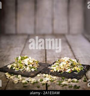 Mung bean i germogli di fronte un rustico in legno con sfondo copyspace Foto Stock