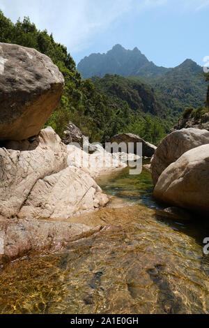 La Vallée de Lonca / Lonca ruscello di montagna paesaggio e piscina naturale Spelunca Gorge / Gorges de Spelunca, Ota Corsica Francia Foto Stock