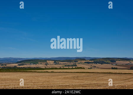 I campi e campi coltivati sulle pendici della valle Strathmore su un luminoso e chiaro settembri giornata con podere isolato edifici di distanza, Foto Stock