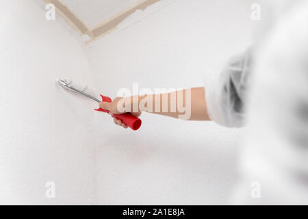 Verniciatura di un muro in bianco con un rullo di vernice, femmina lato, primo piano Foto Stock