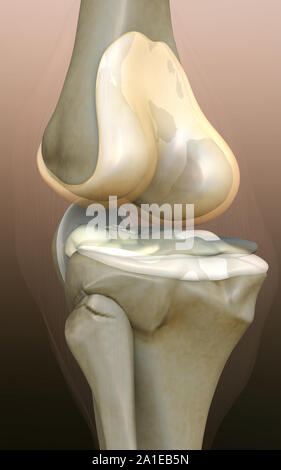 Ginocchio umano, ginocchio, rendering 3d'illustrazione del ginocchio, dolore illustrazione lato del ginocchio, ginocchio x-ray, ginocchio umano malattia Foto Stock
