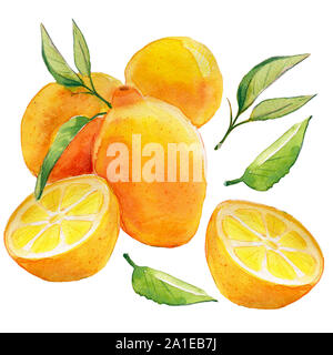 Limoni Seamless Pattern. Acquerello cornice quadrata di limoni e rami. Foto Stock