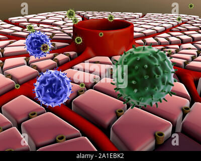 Virus atack le cellule epatiche, attacco di virus i polmoni, il processo di infettare le cellule Foto Stock