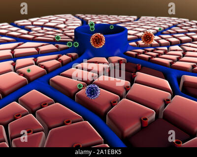 Virus atack le cellule epatiche, attacco di virus i polmoni, il processo di infettare le cellule Foto Stock