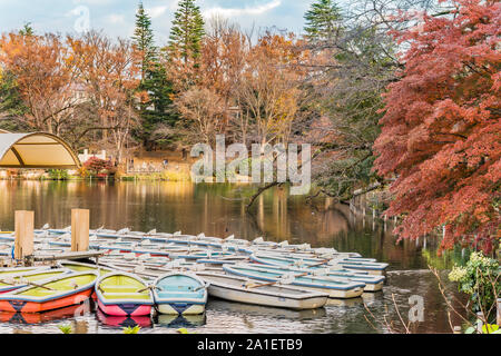 Una collezione di barche galleggianti in stagno di Kichijoji Inokashira Park Foto Stock