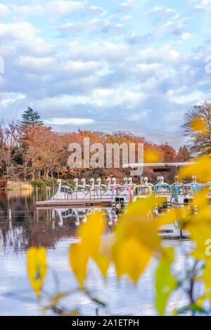 Carino duck pedalò galleggianti in stagno di Kichijoji Inokashira Park Foto Stock
