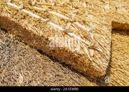 Recentemente ristrutturato e rinnovato di paglia di paglia sul tetto di un villaggio cottage dopo la riparazione e rinnovo compresa sostituzione tetto di cresta Foto Stock