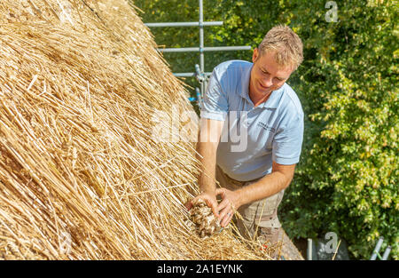Un maestro Thatcher lavorando sul tetto di un villaggio cottage di riparazione e rinnovando la paglia e la sostituzione del crinale Foto Stock