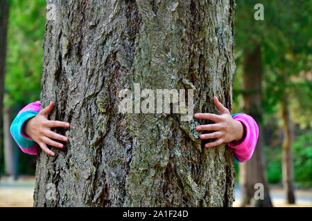 Una persona in abiti colorati con le sue braccia avvolti intorno al tronco di un grande albero che cresce selvaggio sull'isola di Vancouver British Columbia Canada. Foto Stock