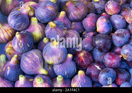 In prossimità di alcune figure appena preso Foto Stock