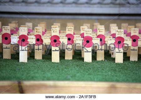 Papaveri su croci in Cambridge come Giorno del Ricordo si avvicina Foto Stock