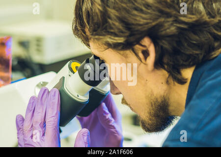 Il lavoro dello scienziato in un confocale microscopio a scansione in un laboratorio per i campioni biologici inchiesta. Foto Stock