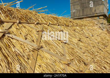 Recentemente ristrutturato e rinnovato di paglia di paglia sul tetto di un villaggio cottage dopo la riparazione e rinnovo compresa sostituzione tetto di cresta Foto Stock