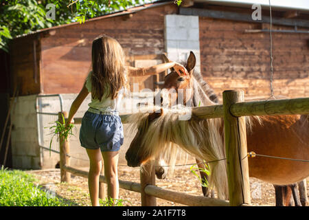 Carino bambina alimenta asini in una fattoria Foto Stock