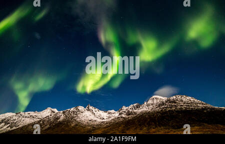 Aurora boreale, Northern Lights, attivo tende colorate,coronas, si spostano in cielo notturno ,a nord del Circolo Polare Artico e isola Kvaloya Tromso Norvegia 2018 migliori Foto Stock