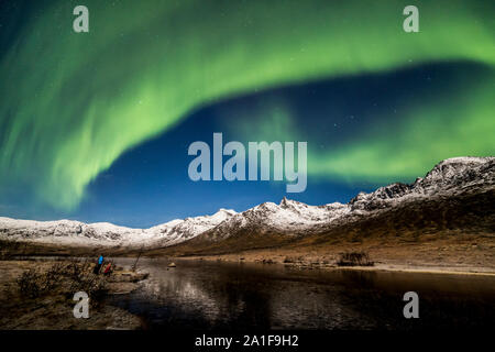 Aurora boreale, Northern Lights, attivo tende colorate,coronas, si spostano in cielo notturno ,a nord del Circolo Polare Artico e isola Kvaloya Tromso Norvegia 2018 migliori Foto Stock