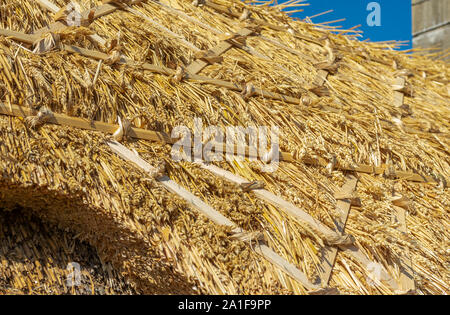 Recentemente ristrutturato e rinnovato di paglia di paglia sul tetto di un villaggio cottage dopo la riparazione e rinnovo compresa sostituzione tetto di cresta Foto Stock